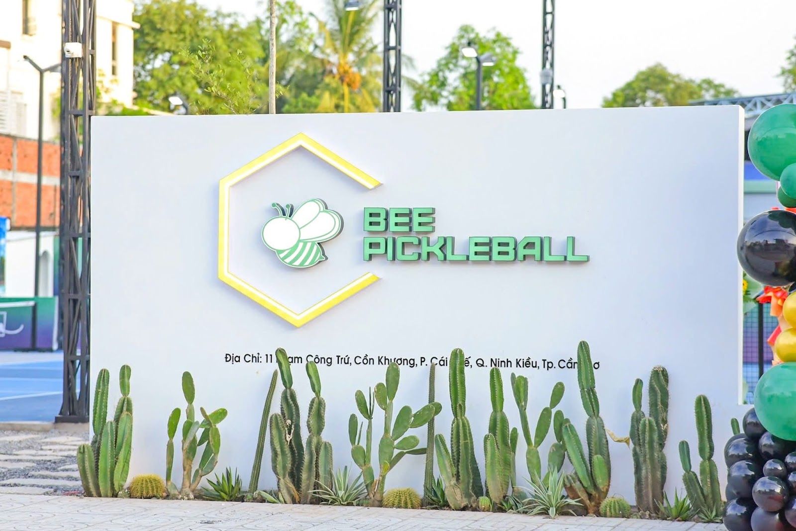 Bee Pickleball Cần Thơ 2