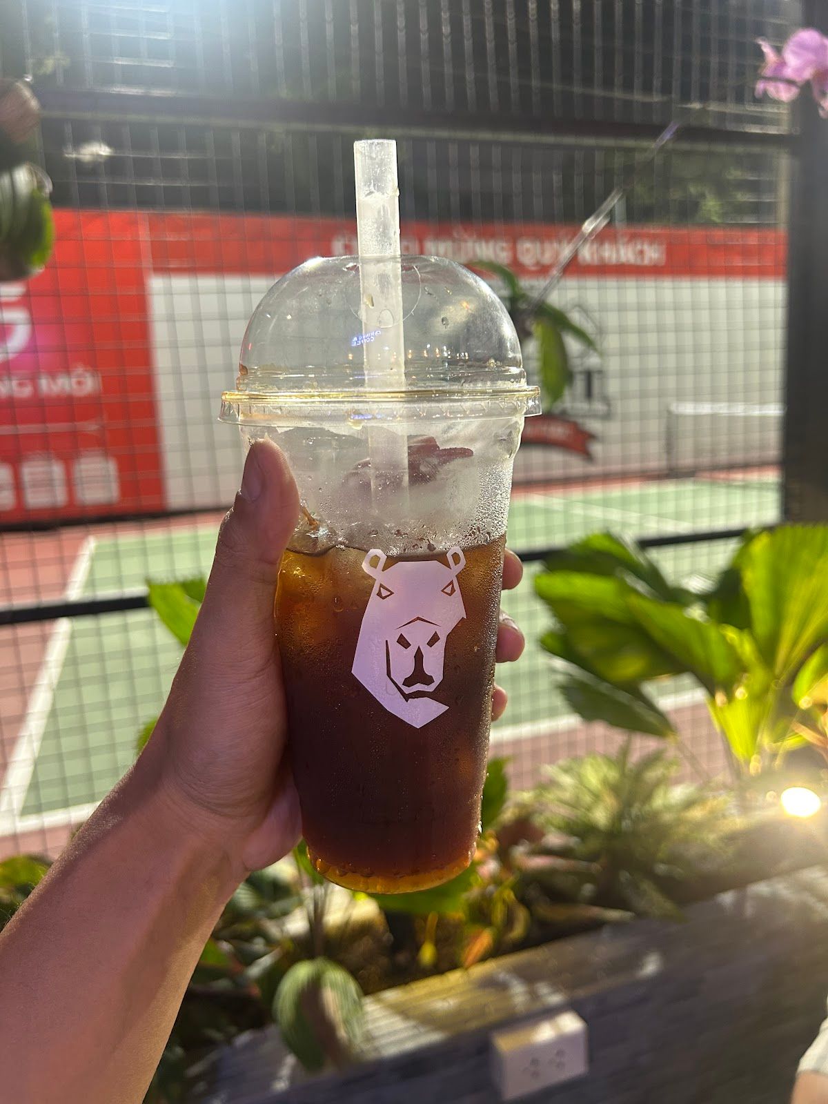 Chuột Lang Nước Pickleball 2