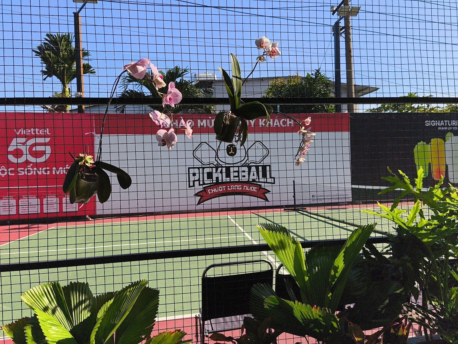 Chuột Lang Nước Pickleball 3