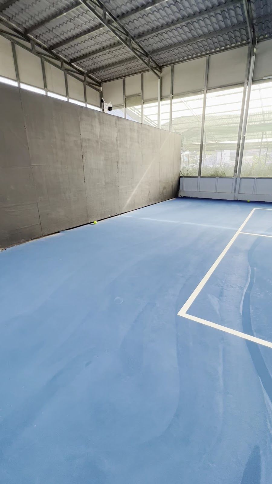 DiLa pickleball and badminton 4
