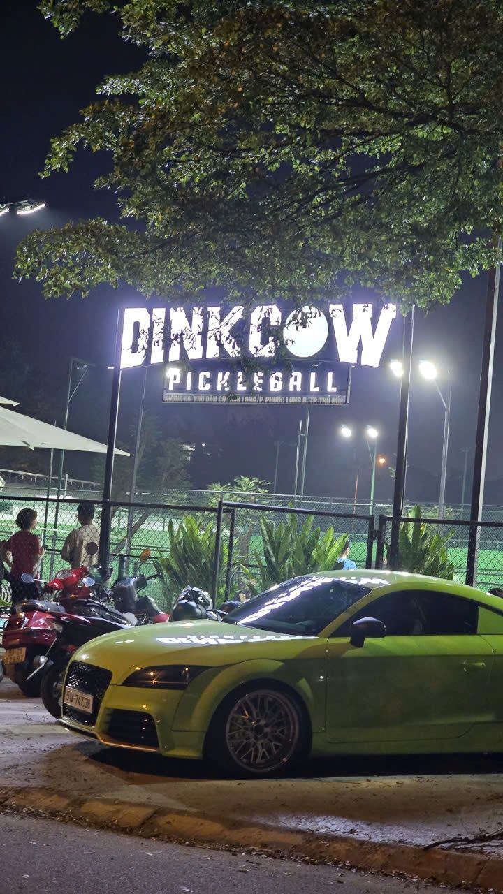 Dinkcow Pickleball 5