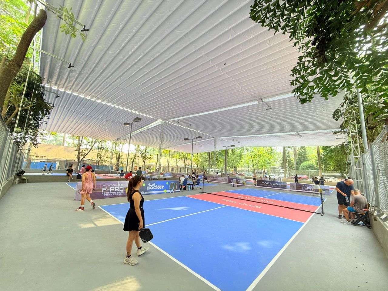 Pink Pickleball Club 1