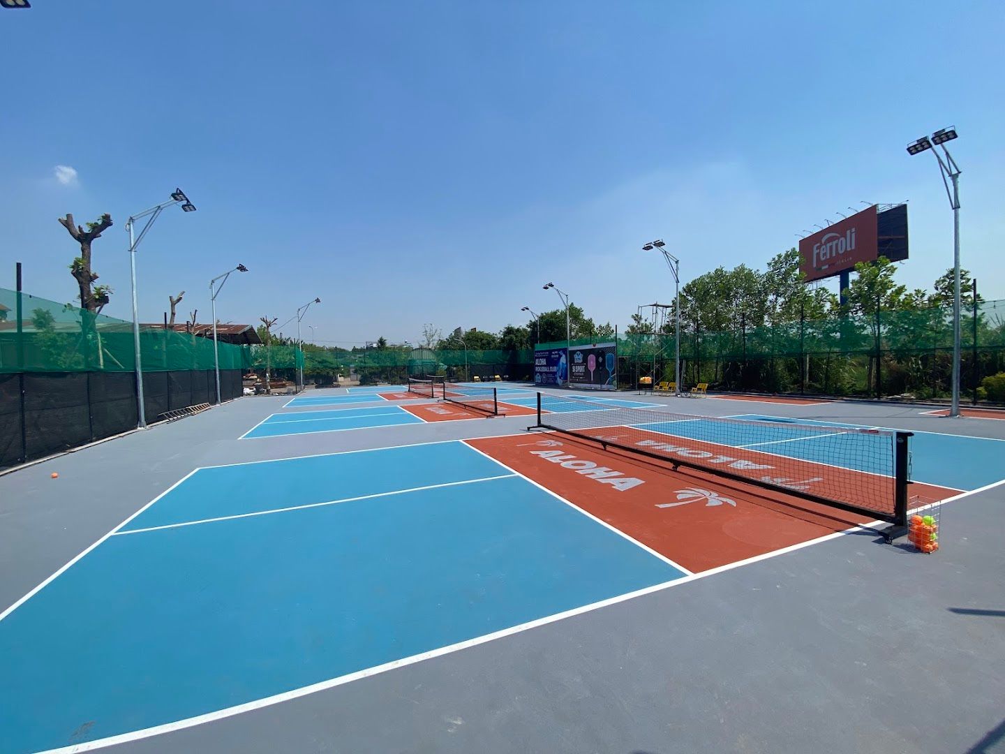 Aloha Pickleball club 1
