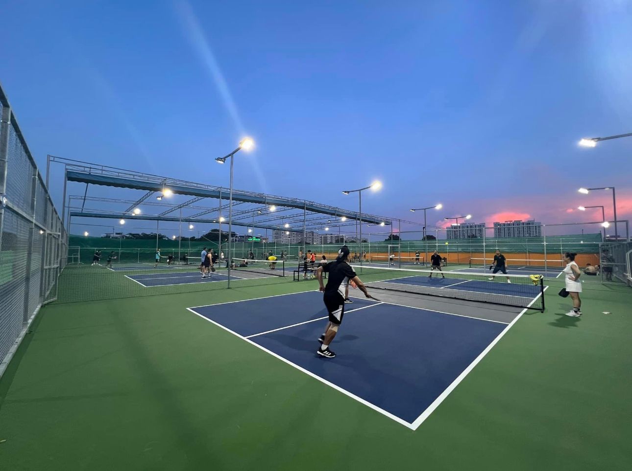 Sân Pickleball Lý Sơn 2