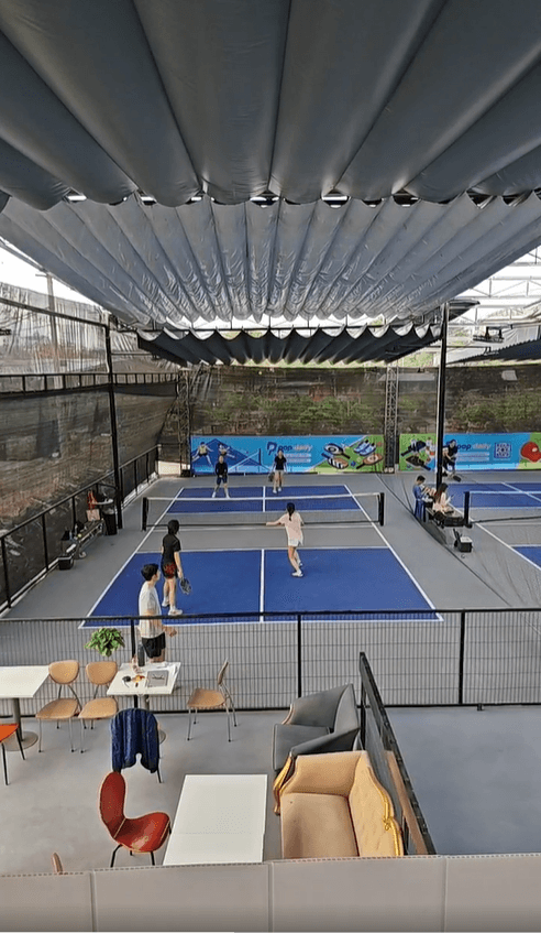 Pop Daily Pickleball 3