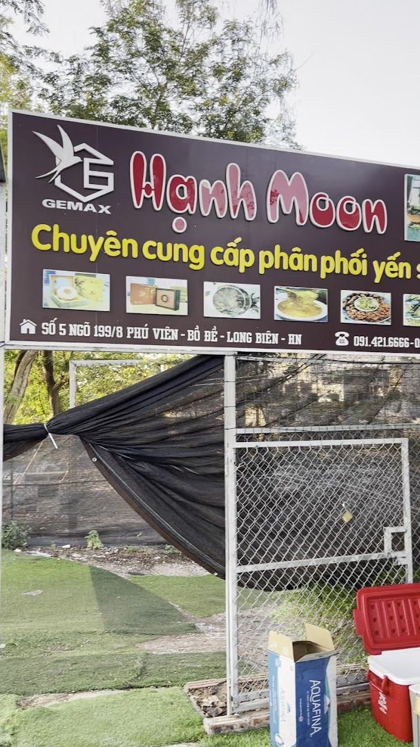 Sân Pickleball môi trường 5