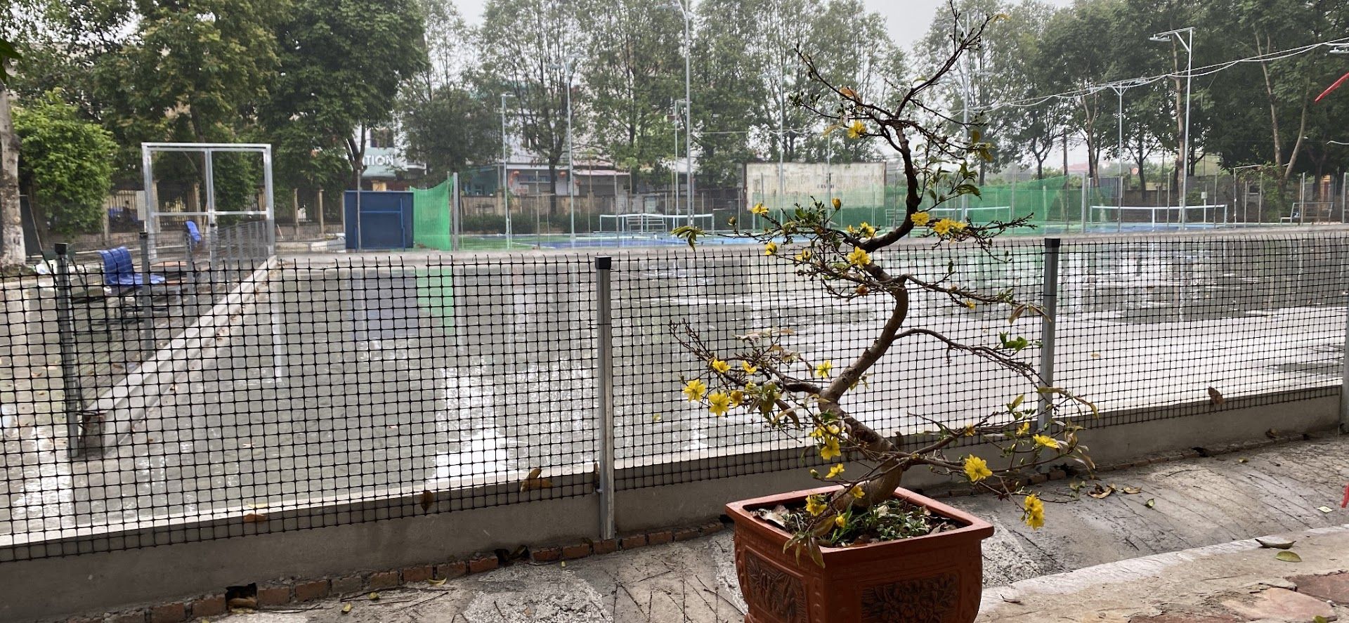 Sân Pickleball AE HTX 5