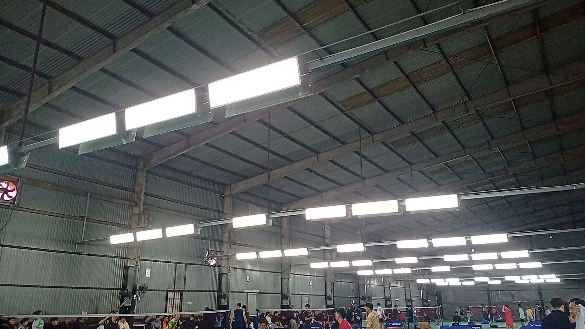 DINKZONE Pickleball & Badminton 5