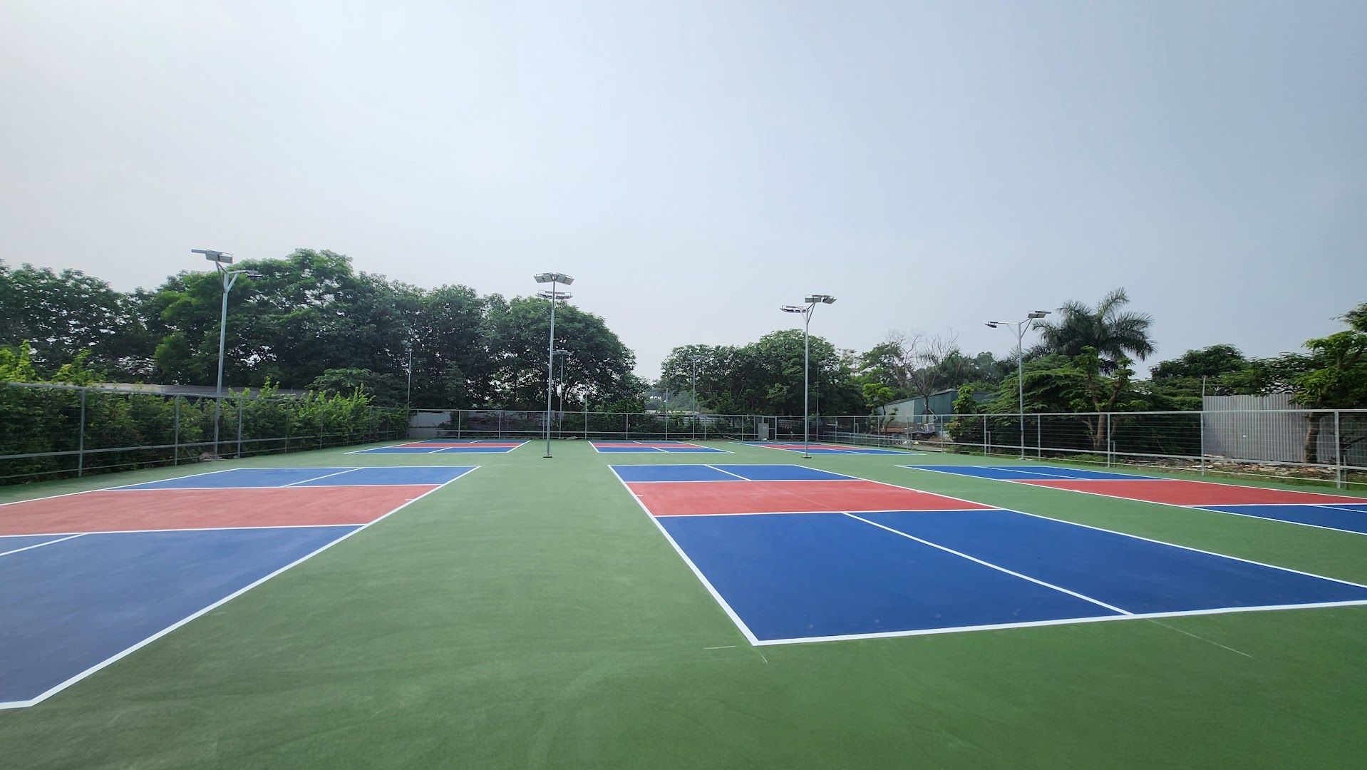 Clb Pickleball Thanh Liệt 6