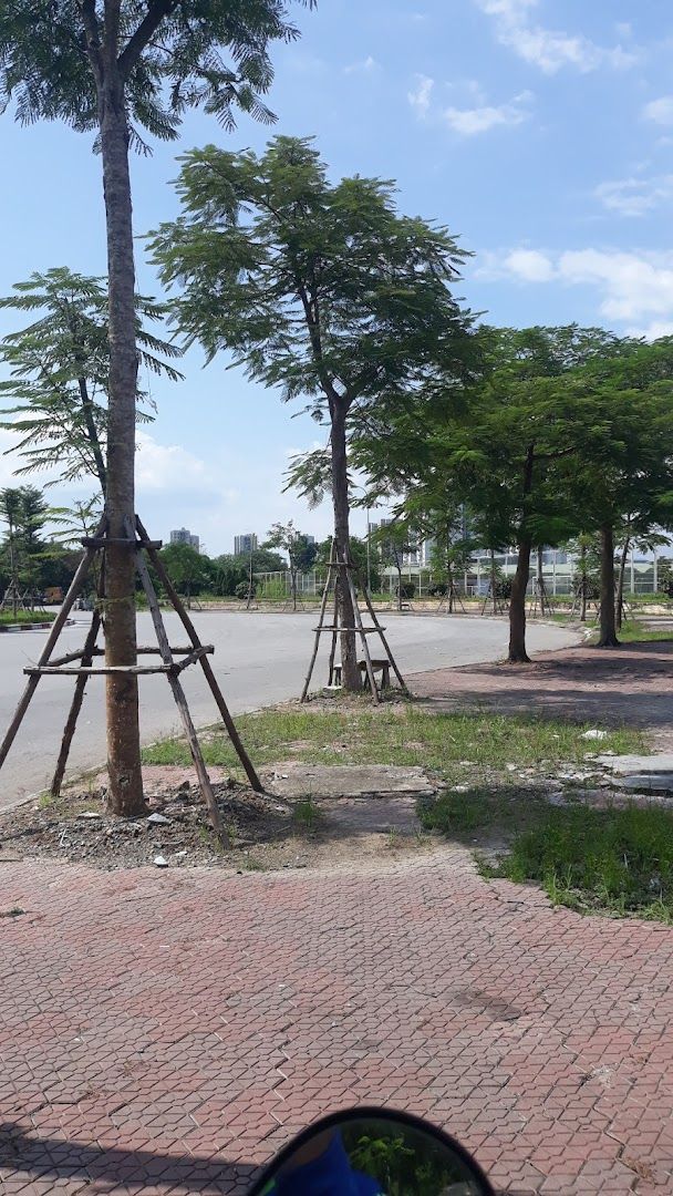 CLB Bóng chày Thiếu niên Hà Nội 6