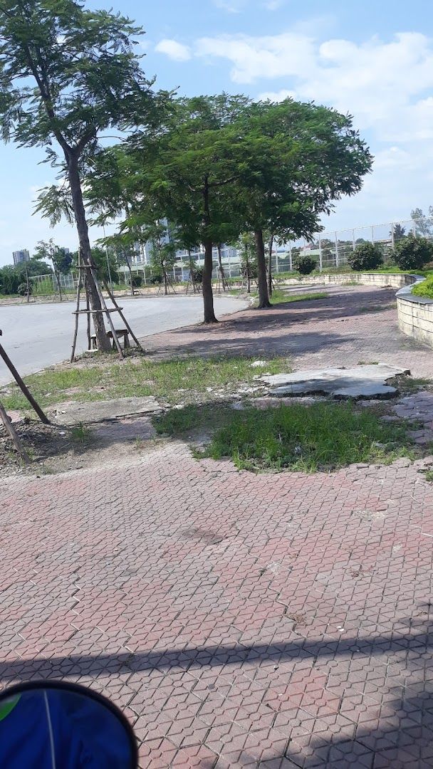 CLB Bóng chày Thiếu niên Hà Nội 8