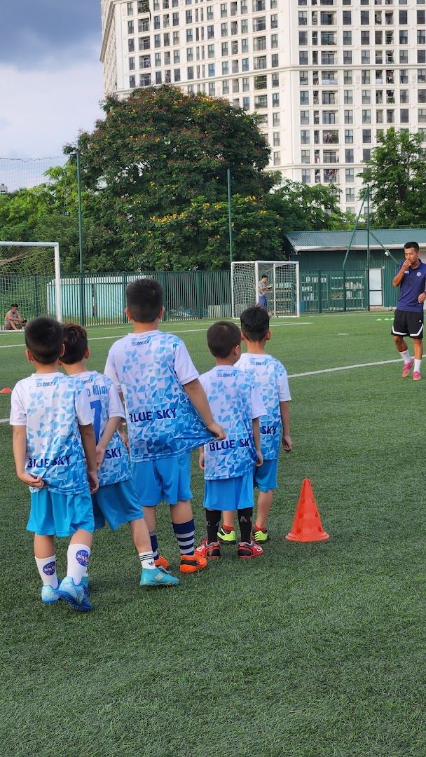 Liên đoàn Bóng đá Việt Nam 5
