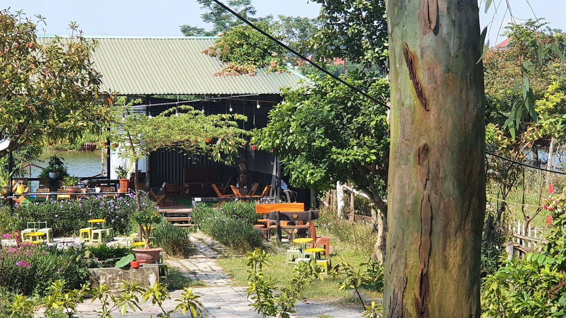 Sân bóng Chùa Trầm 4