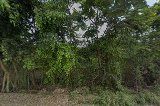 Sân Bóng Đầm Sen 6