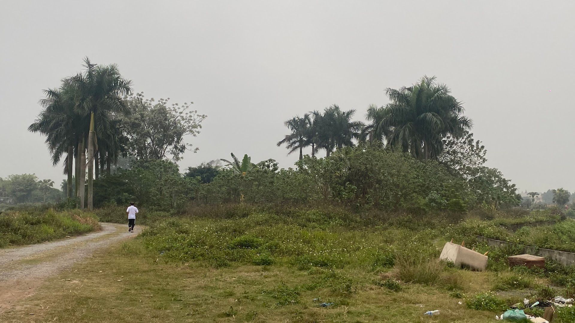 Sân bóng Đảo Sen 1