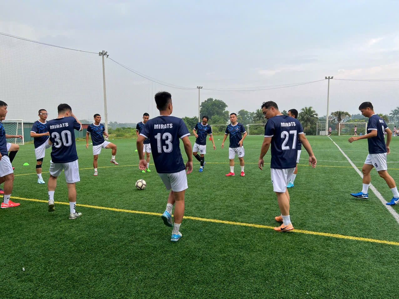 Sân Bóng Đảo Sen 2 4
