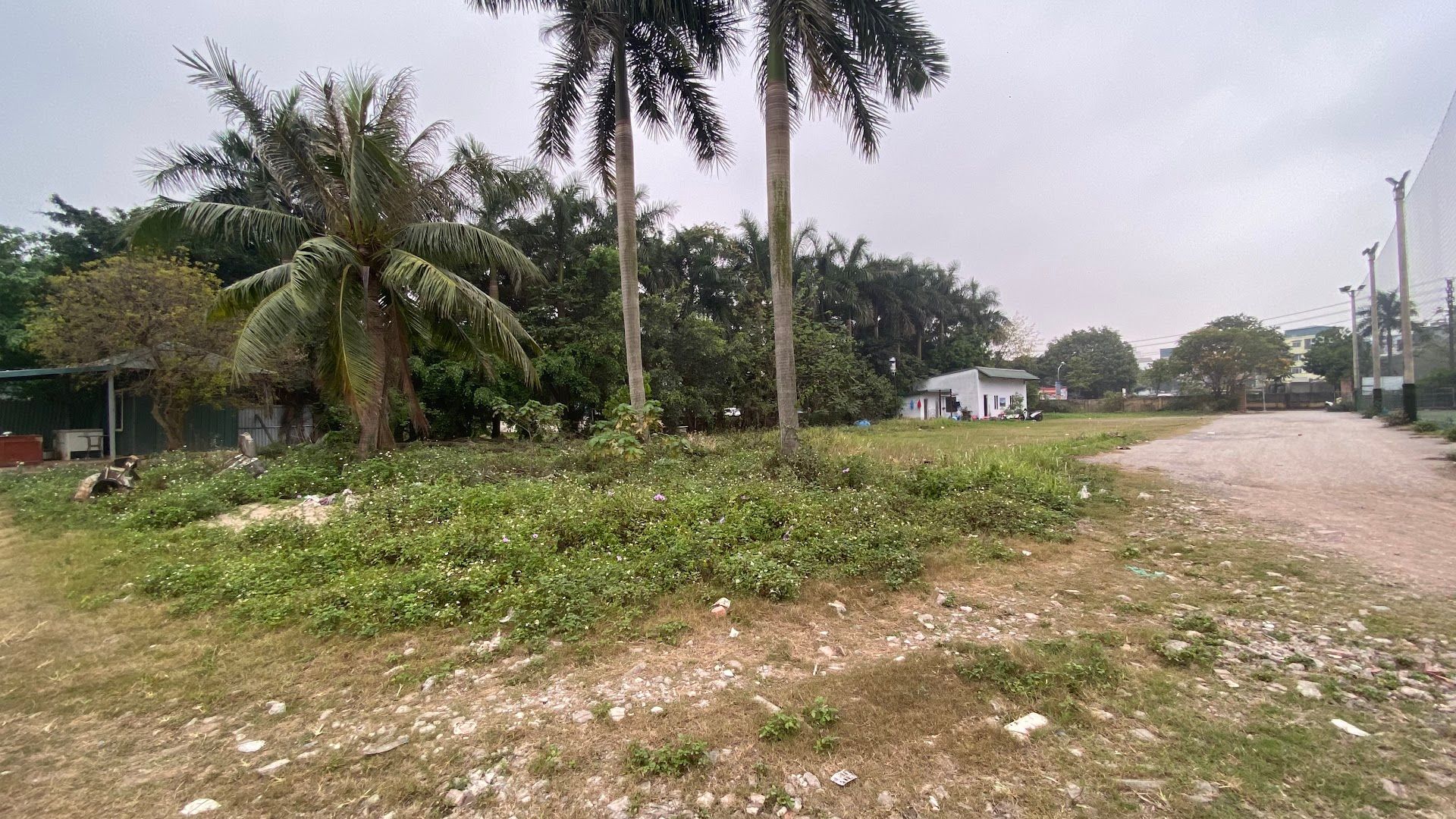 Sân bóng Đảo Sen 7