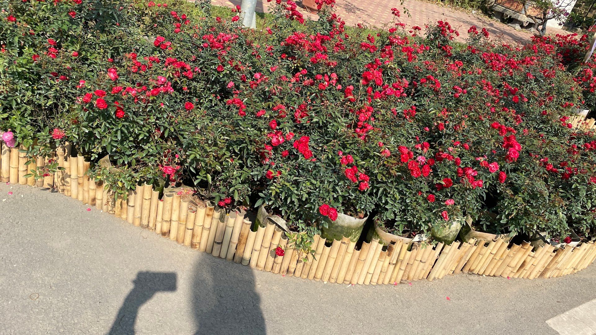 Sân bóng Hồng Ân 10