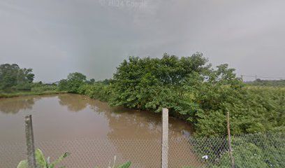 Sân bóng Phụng Thượng 1