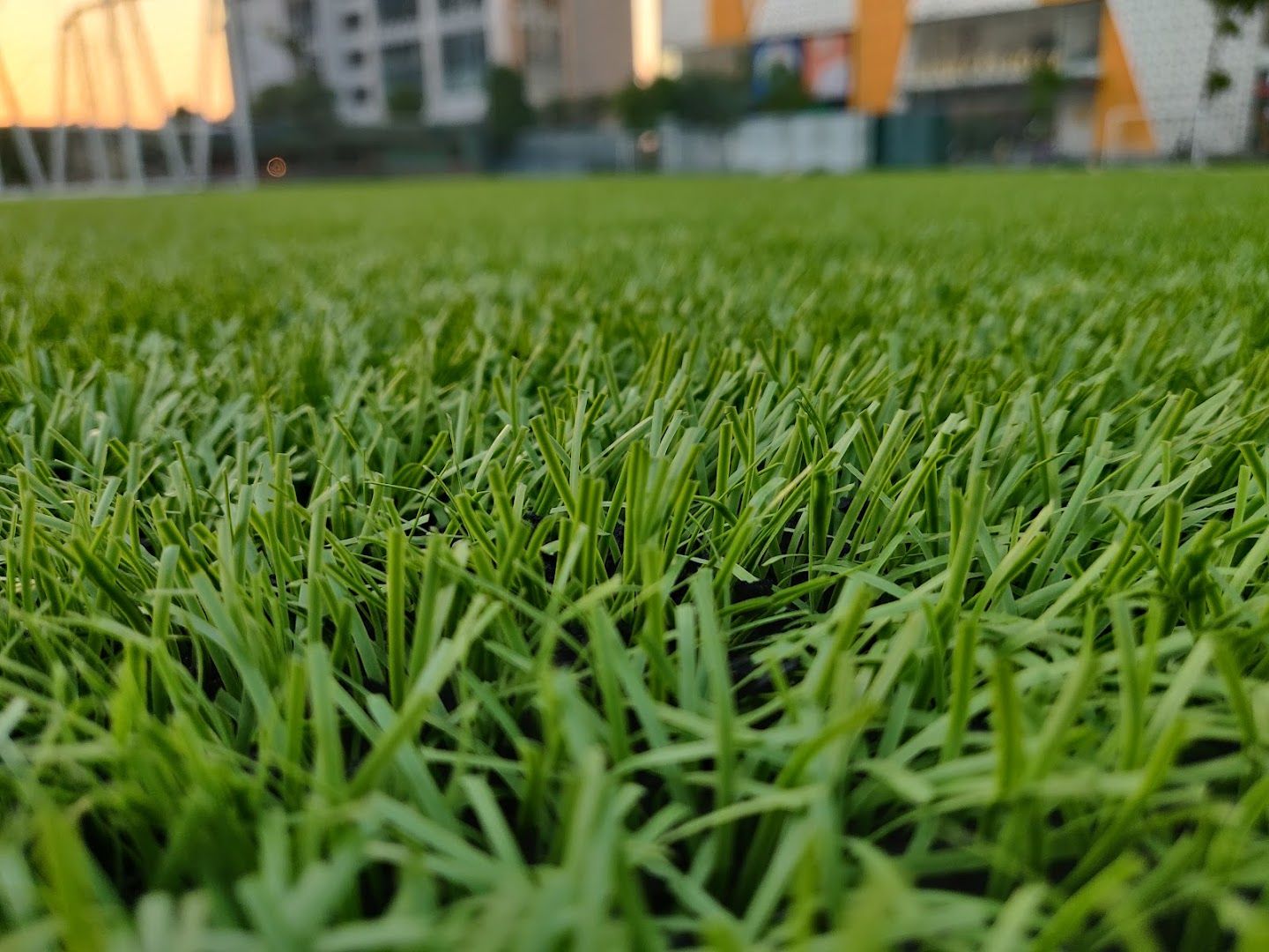 Sân Bóng Thái Sơn 1 5