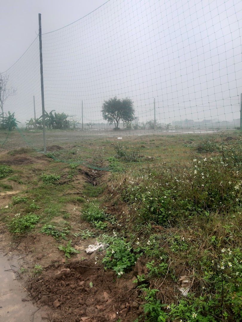 Sân Bóng Thôn Kim Giang 2