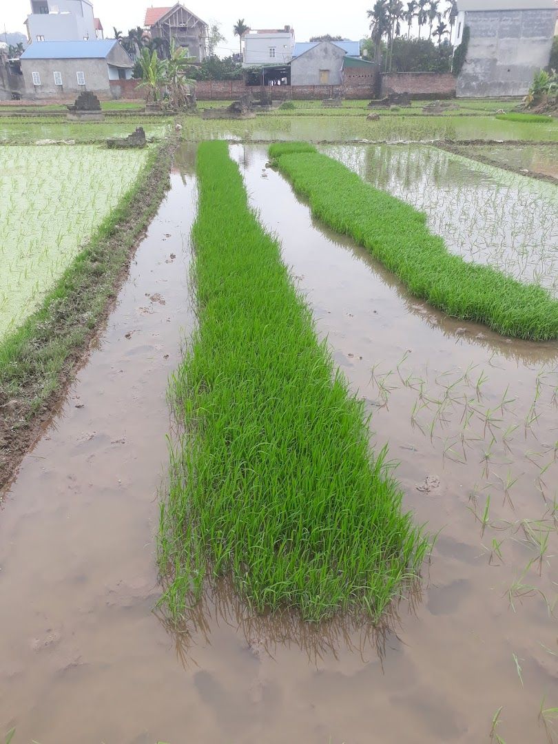 Sân Bóng Thôn Quyết Tiến 7