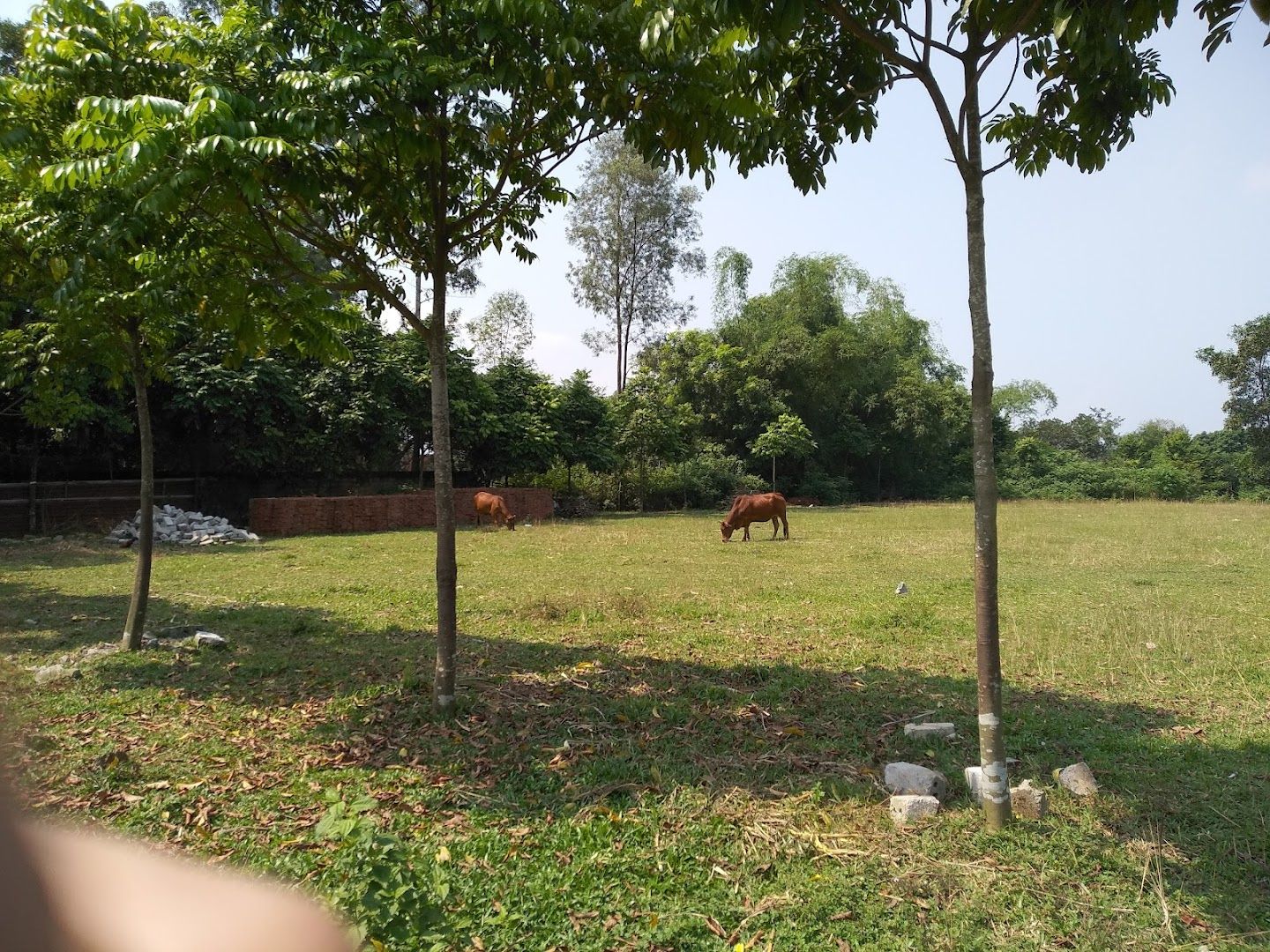 Sân Bóng Trung Đoàn Văn Minh 2