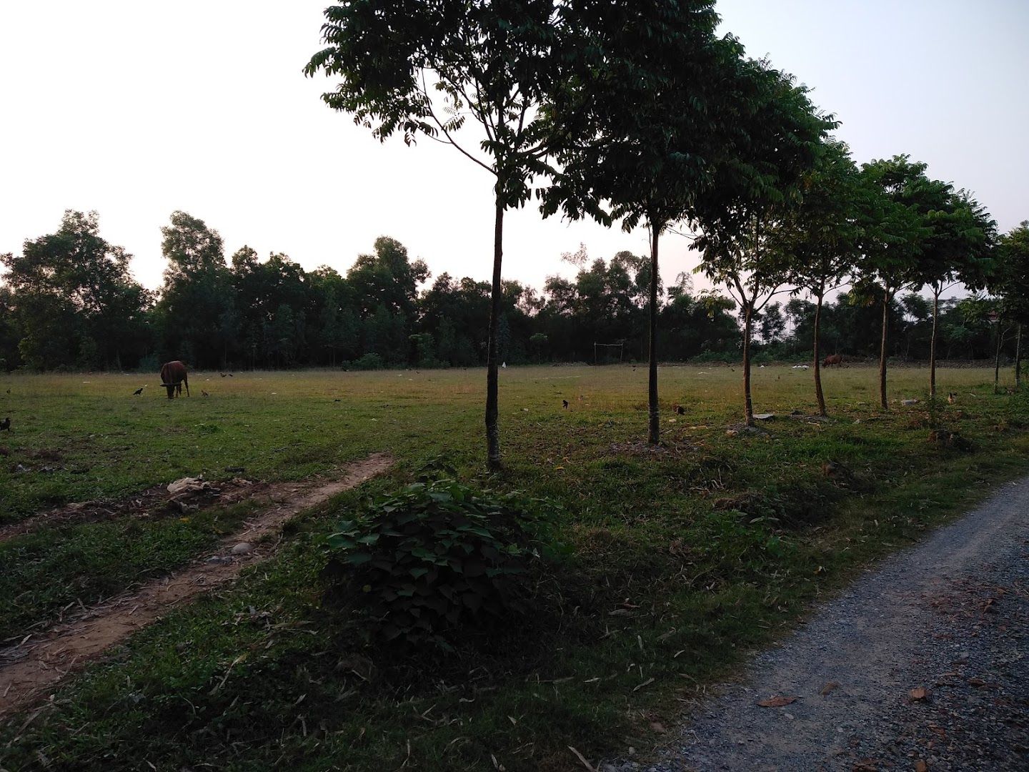 Sân Bóng Trung Đoàn Văn Minh 5