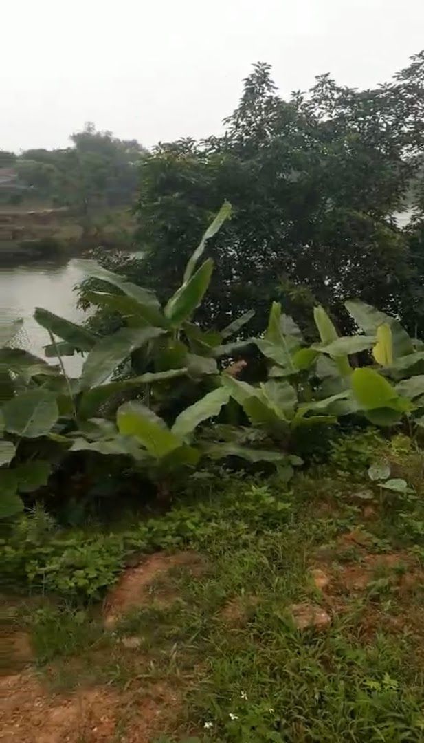 Sân Bóng Trung Đoàn Văn Minh 6