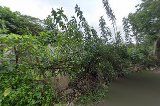 Sân Bóng Từ Liêm 3