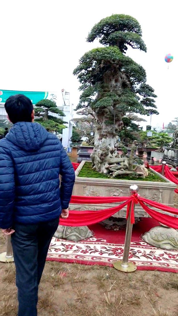 Sân Vận Động Huyện Phúc Thọ 2