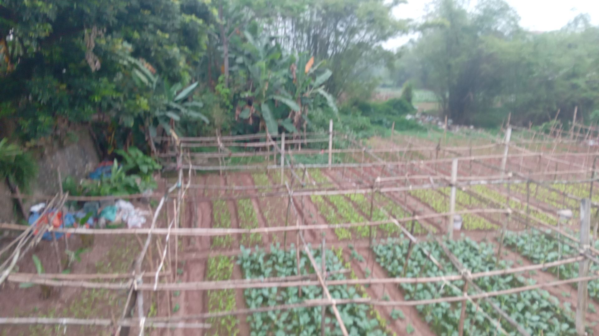 Sân vận động thôn Nga My Hạ 6