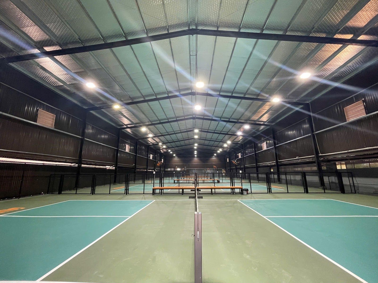 Gấu Pickleball 1