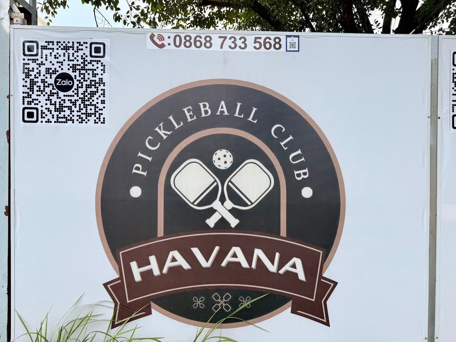 Havana Pickleball 8
