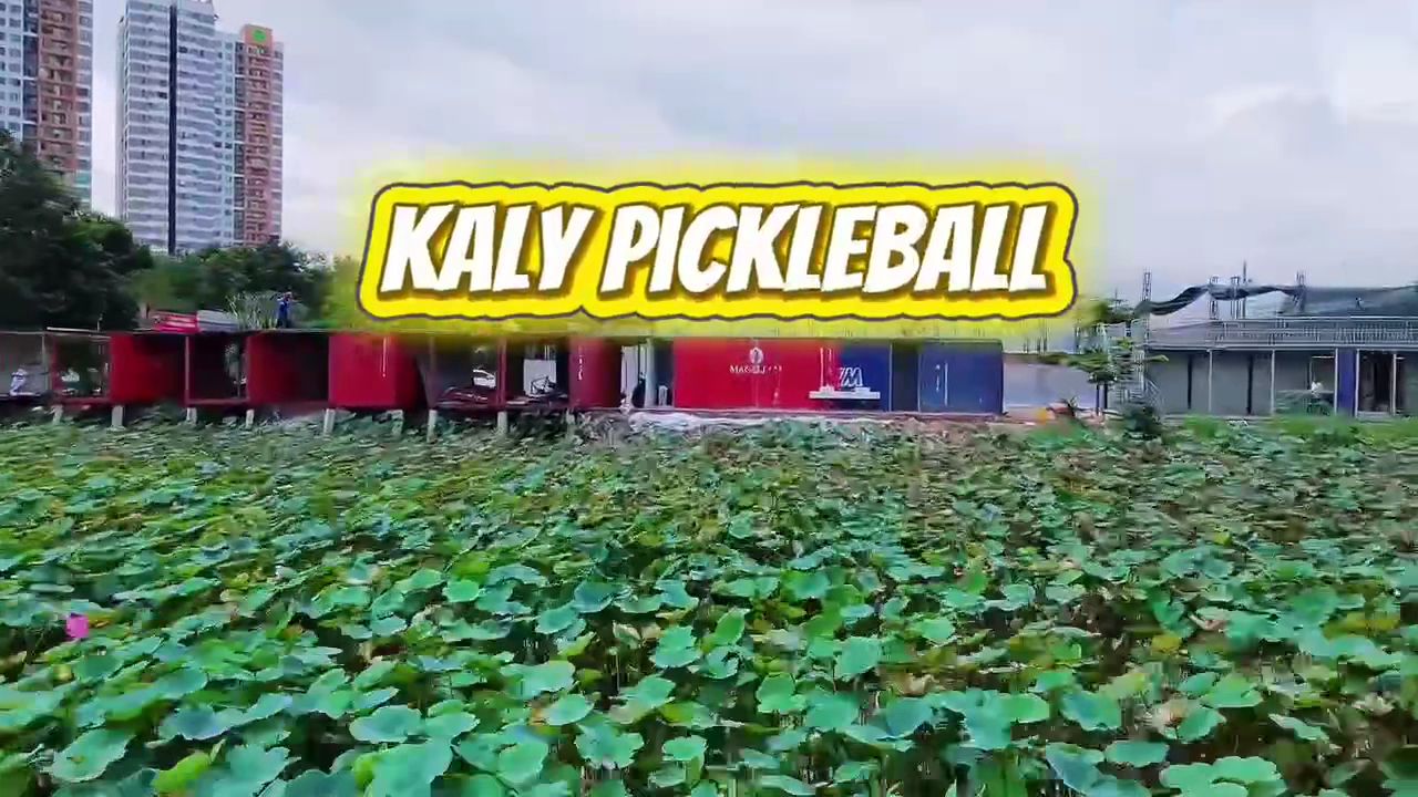 Kaly Pickleball 1
