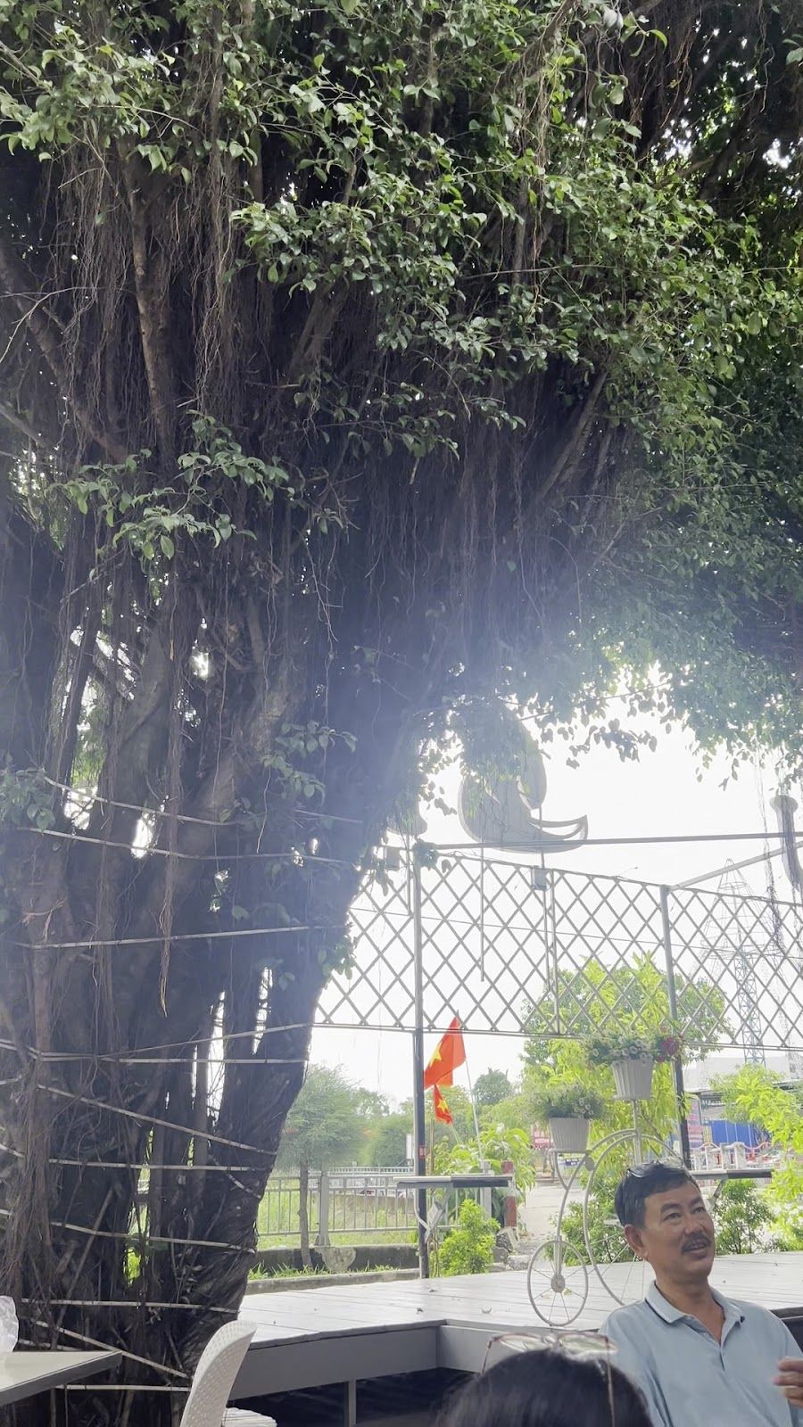 KLH Thể Thao City Cúc Phương 9