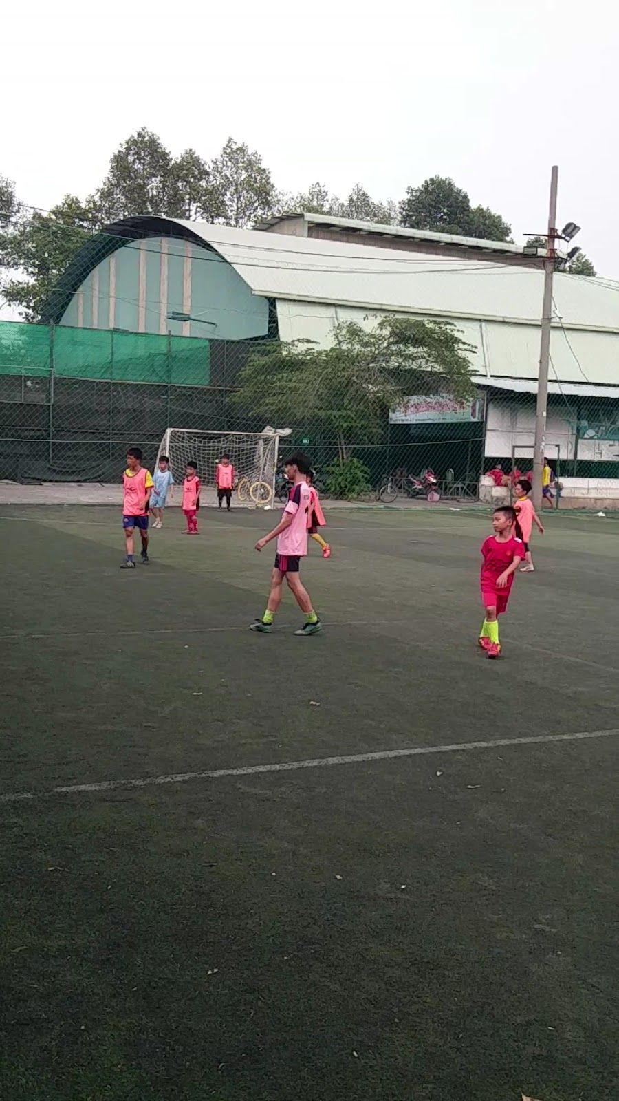 Nhận tập pickleball-tennis 1