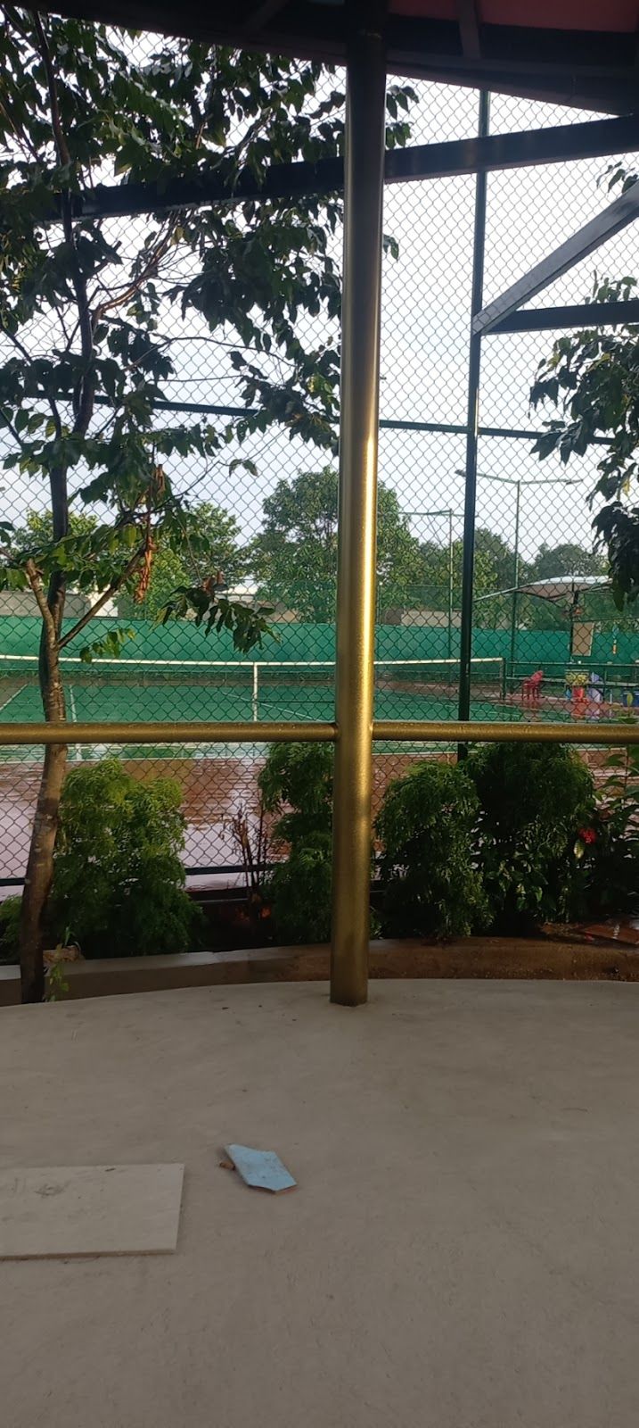 Nhận tập pickleball-tennis 4