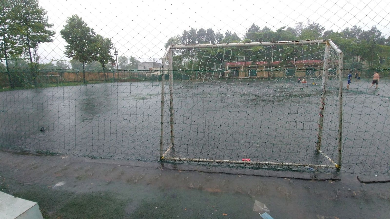 Nhận tập pickleball-tennis 8