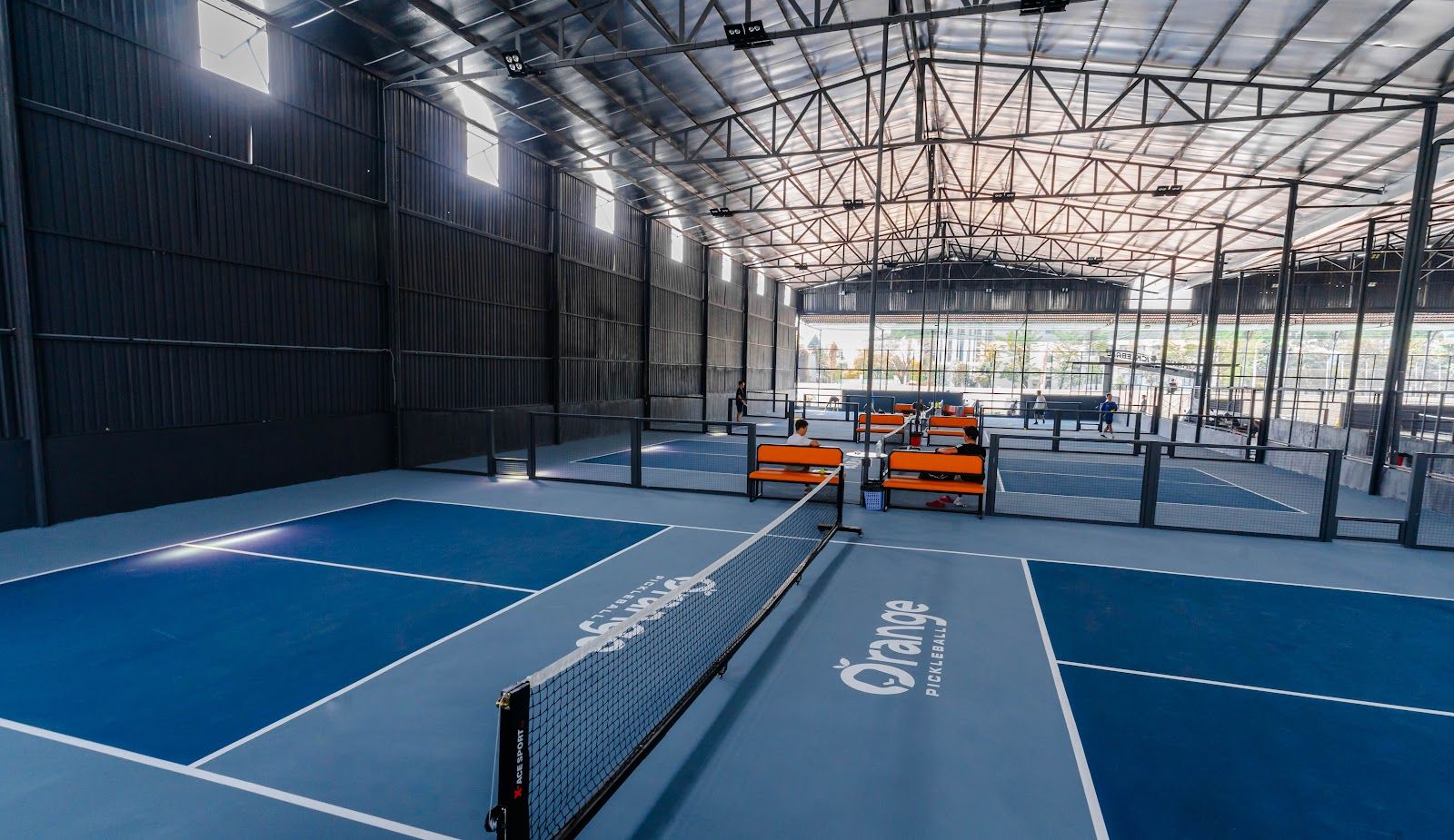 Orange Pickleball 2