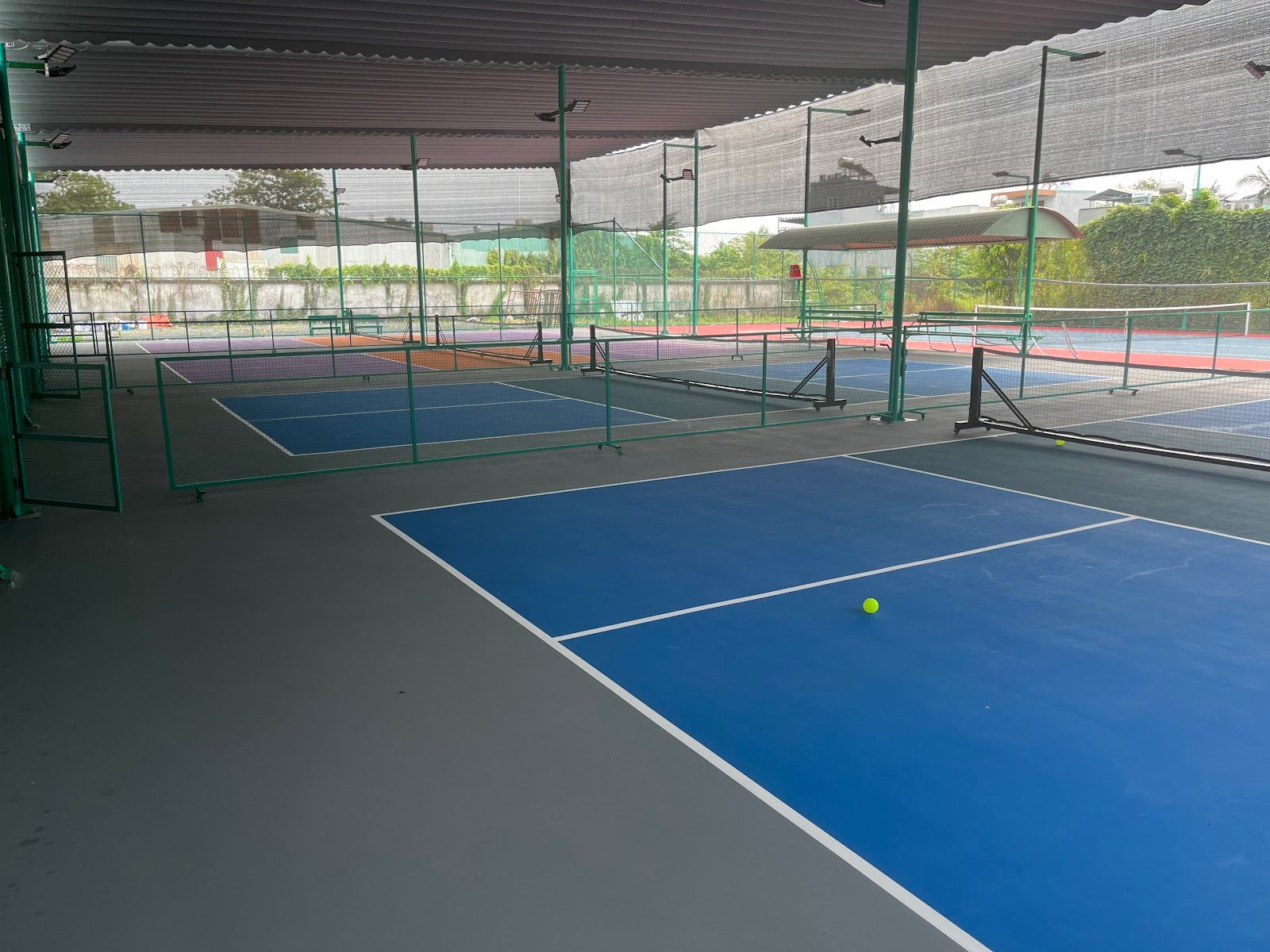 Pickleball 668 1