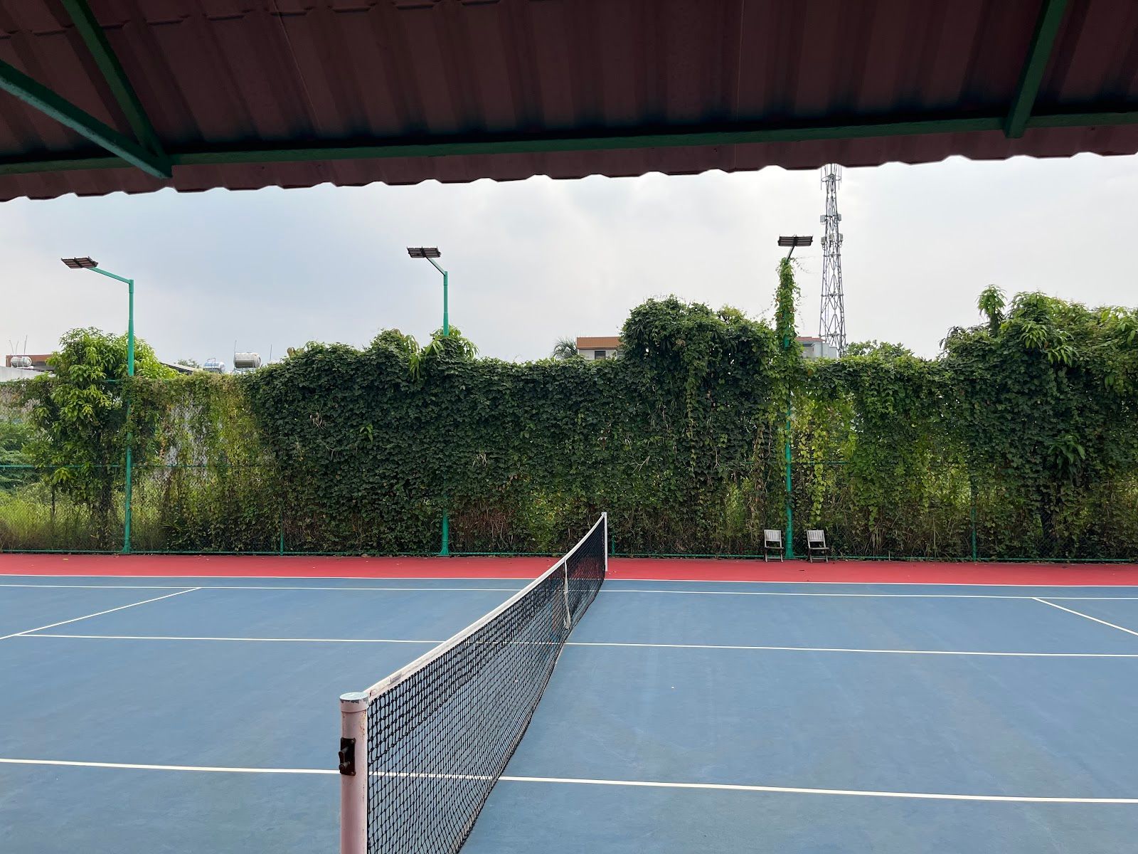 Pickleball 668 5