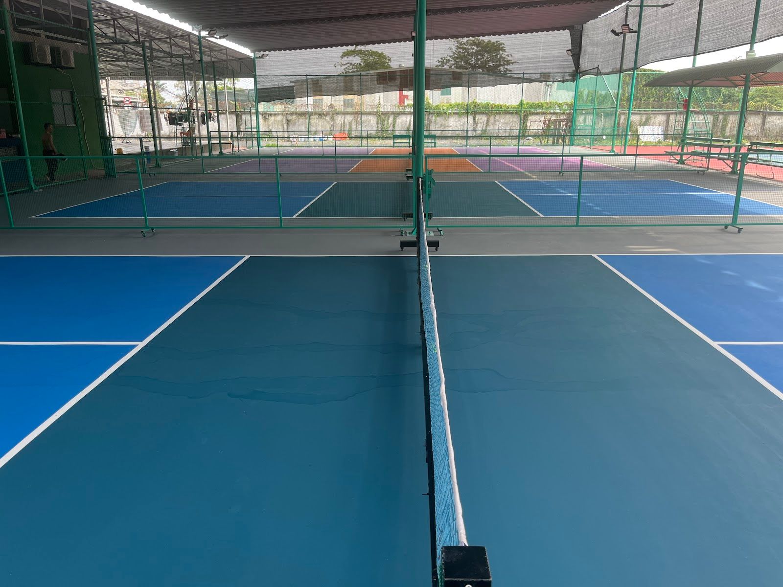 Pickleball 668 7