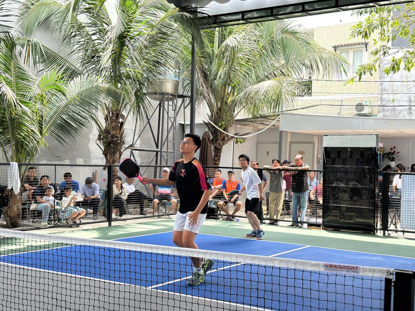 PICKLEBALL CÂY SỘP 2