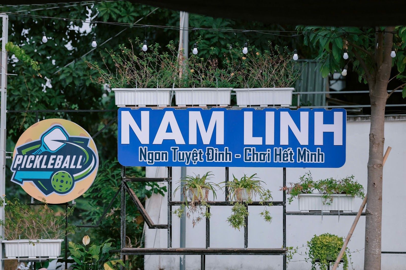 Pickleball Nam Linh 3