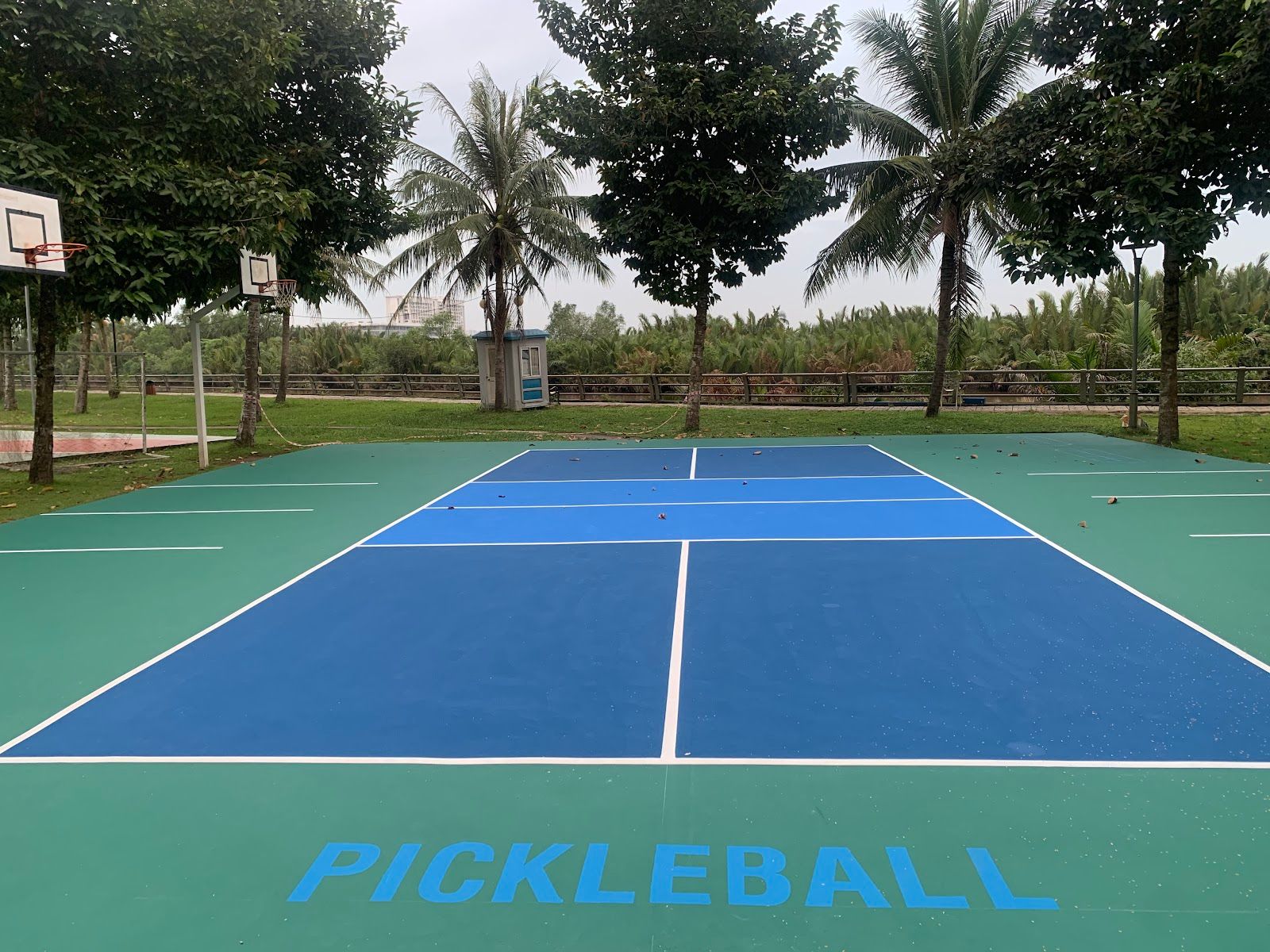 PICKLEBALL PRS 3