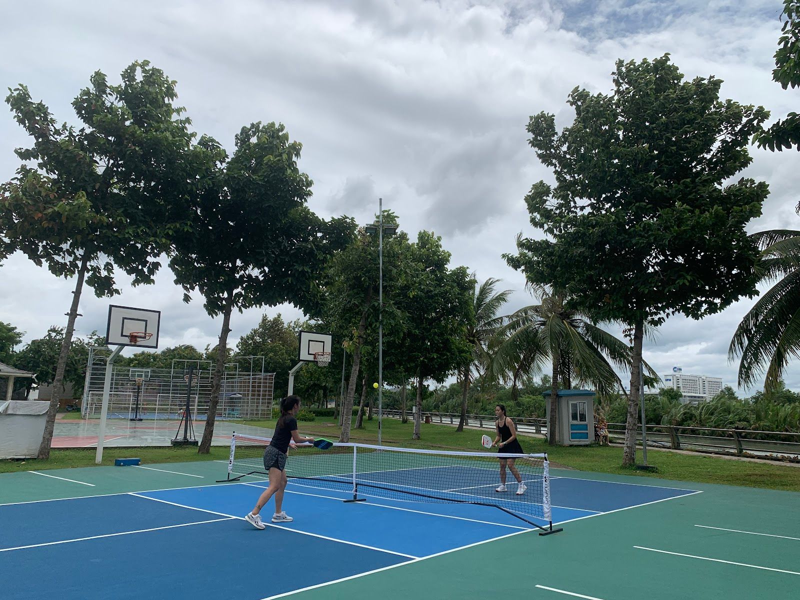 PICKLEBALL PRS 6