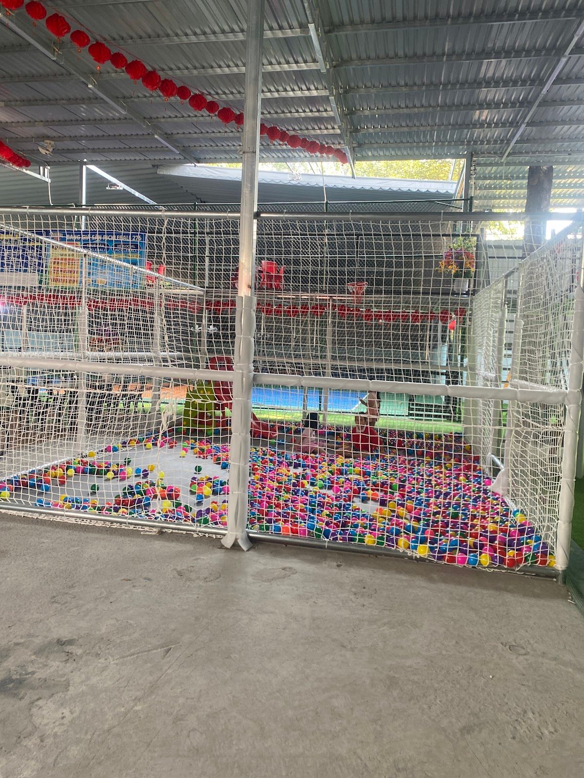 Pickleballs 276 3
