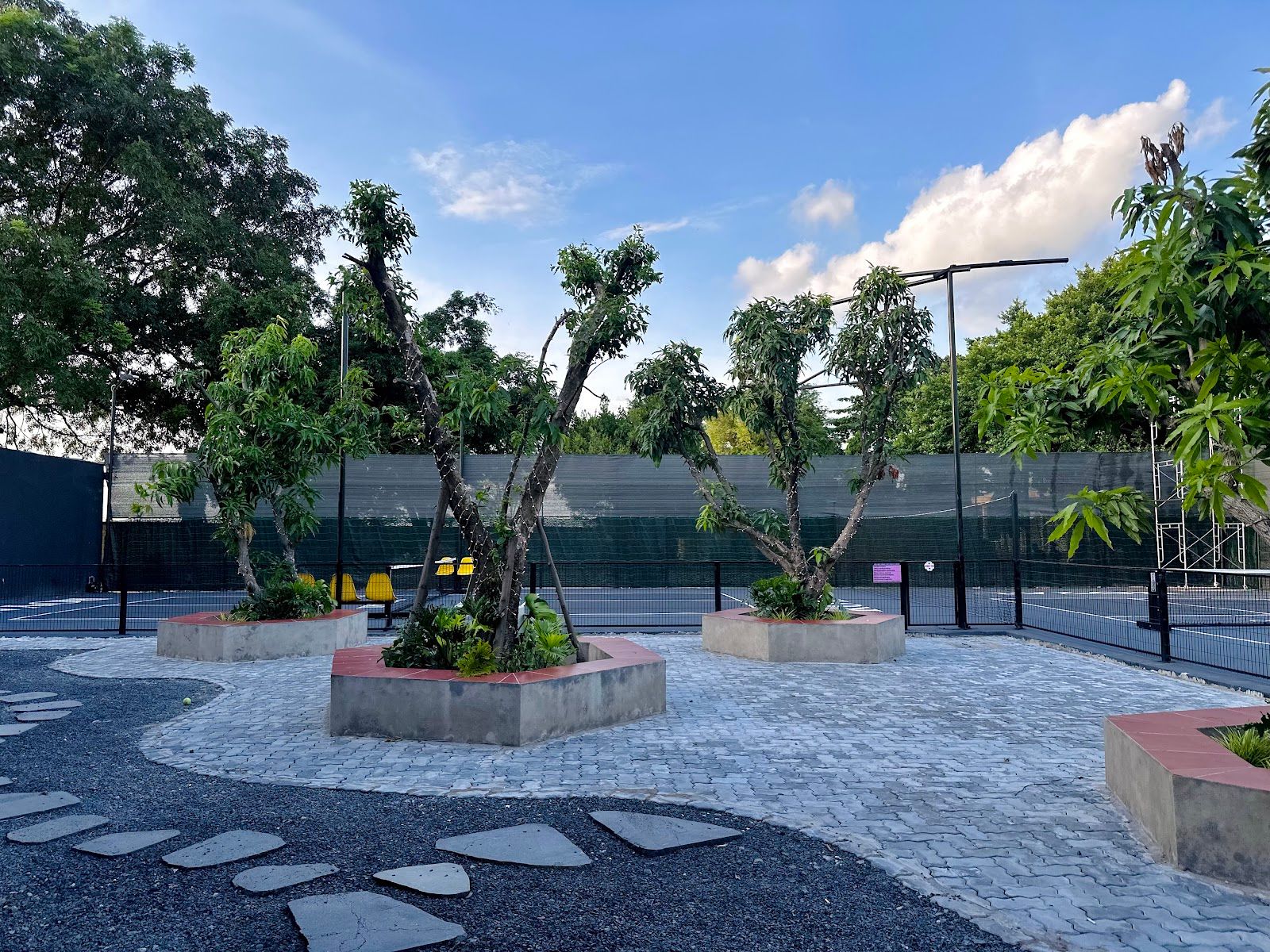 Royal Pickleball K334 - Tân Bình 3