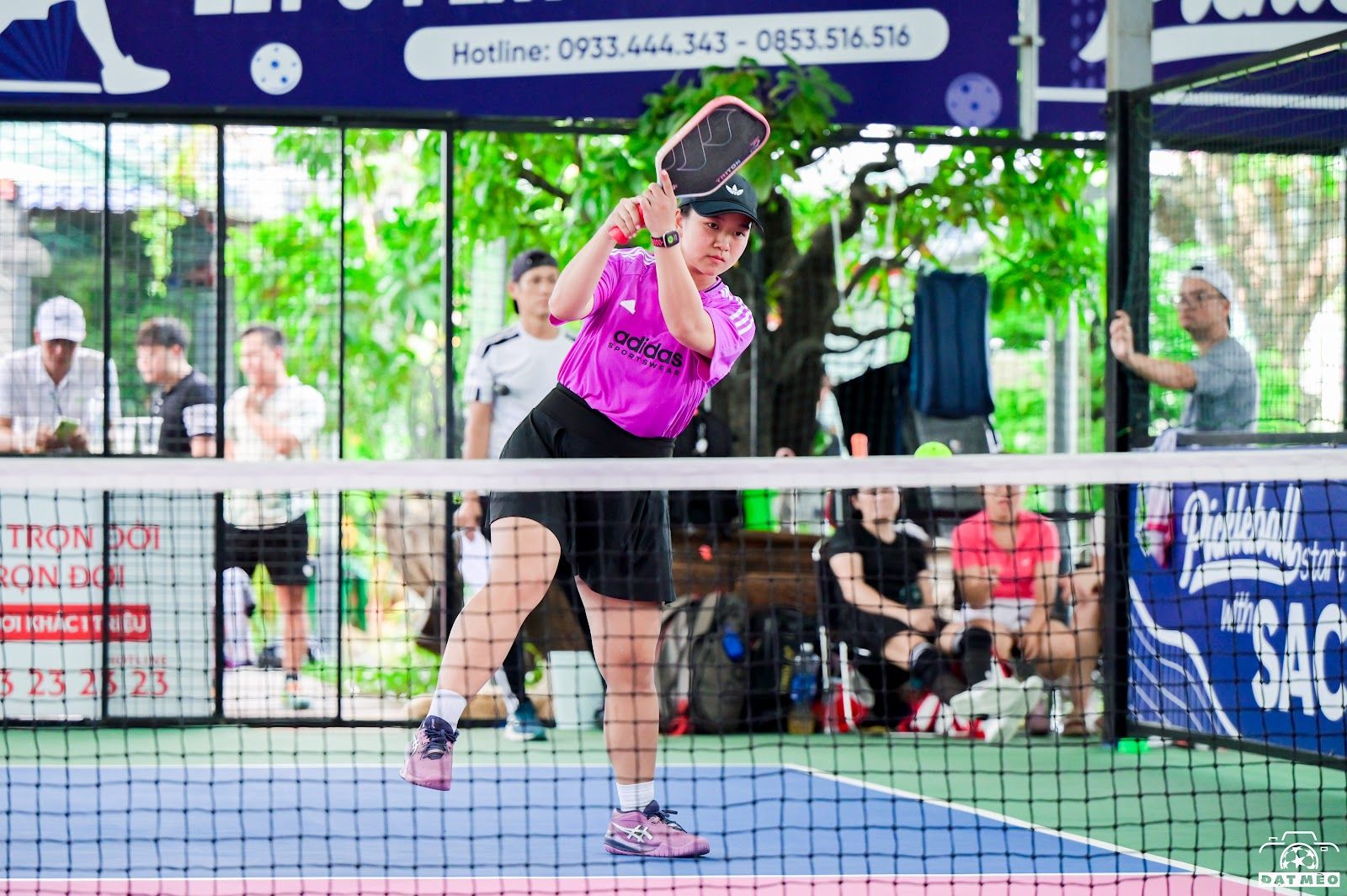 SACA PICKLEBALL 8